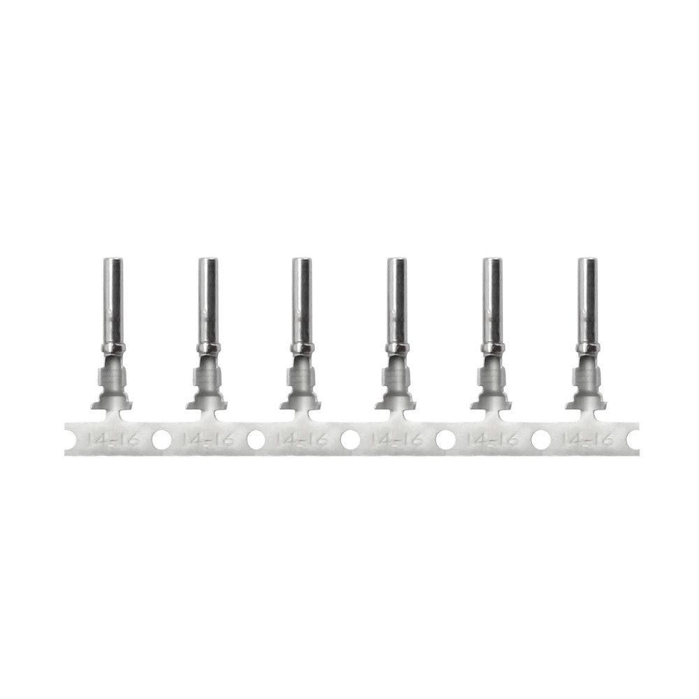 Pacer DT Deutsch Socket f/14 AWG Wire - Size 16 Contact (100 Pack) - Deckhand Marine Supply